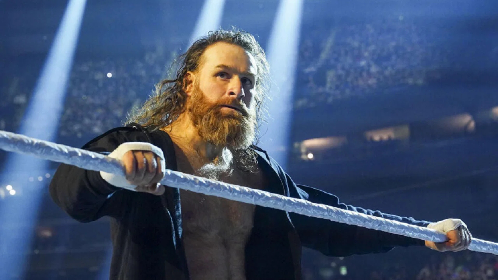 Sami Zayn